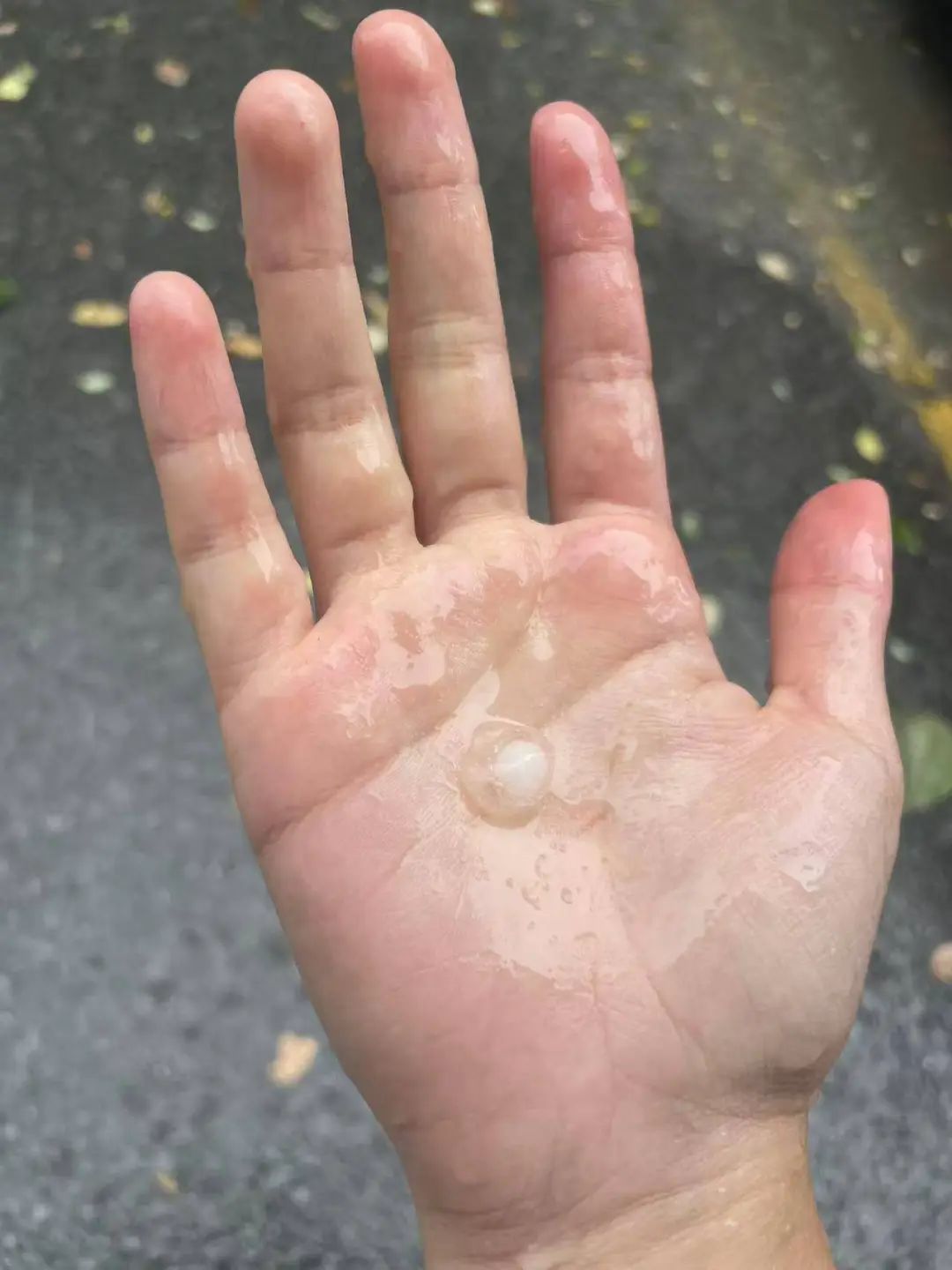 浙江高温红色预警_东阳天气预报_杭州连续高温日数纪录