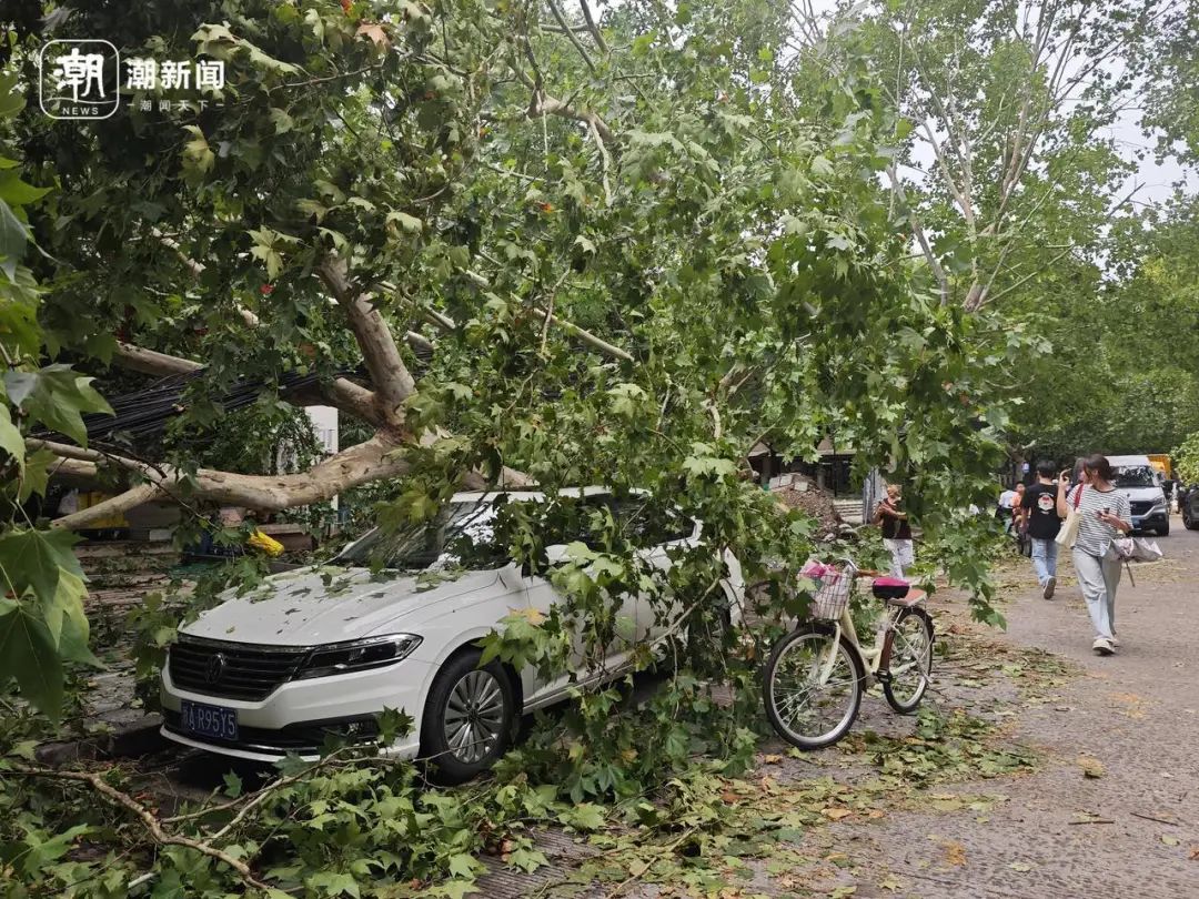 东阳天气预报_浙江高温红色预警_杭州连续高温日数纪录