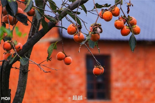 墨迹天气逐小时预报_墨迹天气_秋乏应对