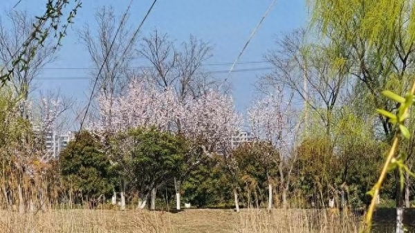 即将迎来大反转！江苏气象最新播报