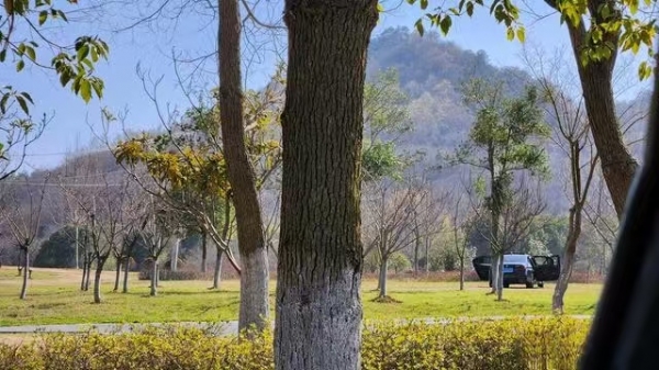 无锡天气_江苏气温骤降20℃到10℃冷空气影响_2026年江苏天气突变降温雨雪春捂指南