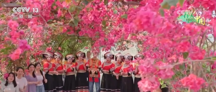赏花指南推荐_洛阳天气_清明假期天气差异