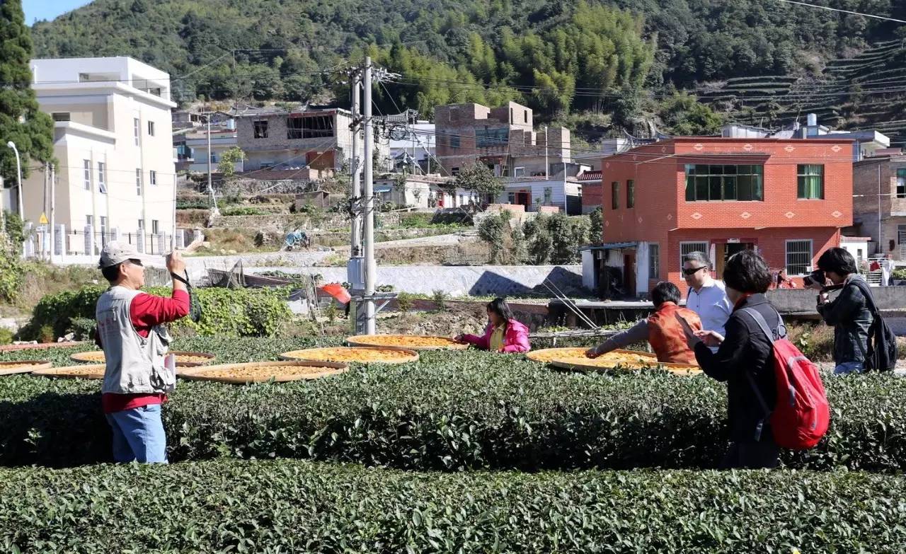 厦门天气预报_厦门岛外农庄休闲游_厦门清明假期天气预报
