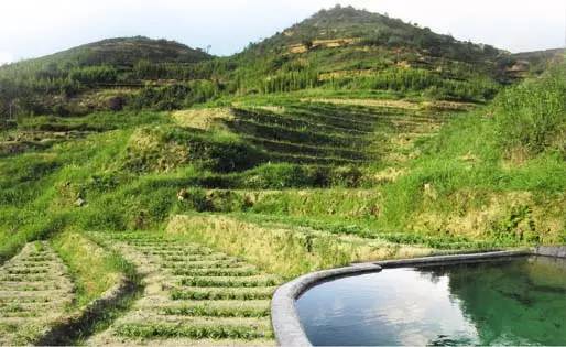 厦门清明假期天气预报_厦门天气预报_厦门岛外农庄休闲游