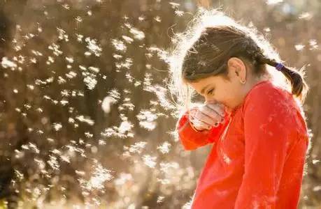 厦门天气预报_厦门岛外农庄休闲游_厦门清明假期天气预报