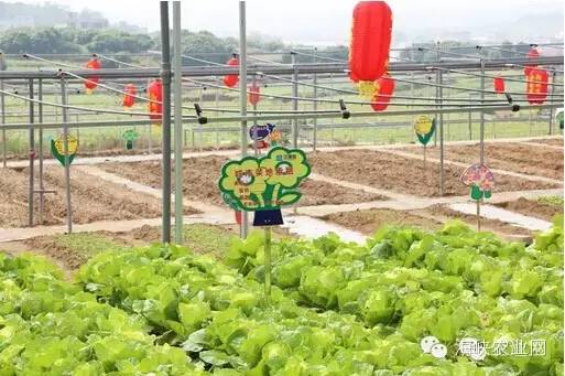 厦门岛外农庄休闲游_厦门清明假期天气预报_厦门天气预报