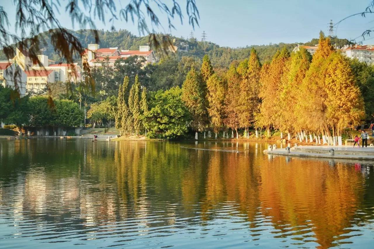 厦门天气预报_厦门回南天 晴天惊喜 厦门春天