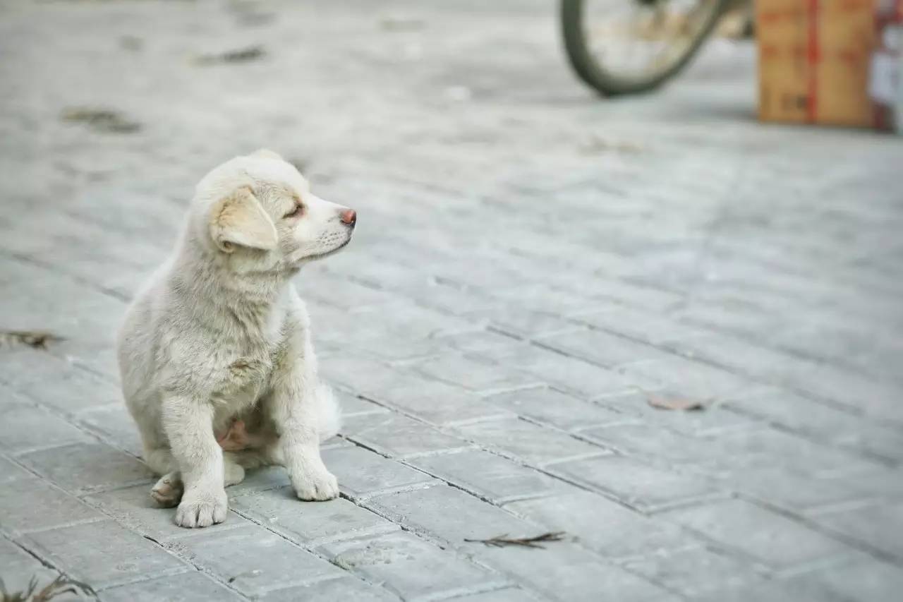 厦门回南天 晴天惊喜 厦门春天_厦门天气预报
