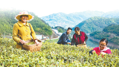 天气变化_气候预测准确率_气候预测服务