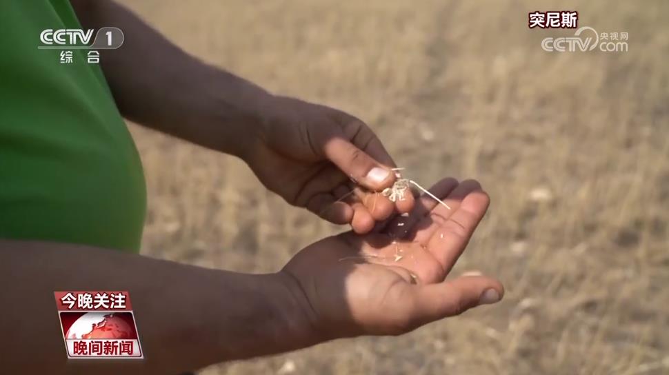 厄尔尼诺现象 全球气温升高 野火频发_天气变化