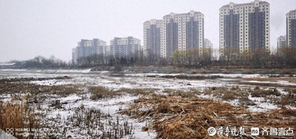 莱西再迎降雪，北部最低温-4℃！冷空气带来大风、降温