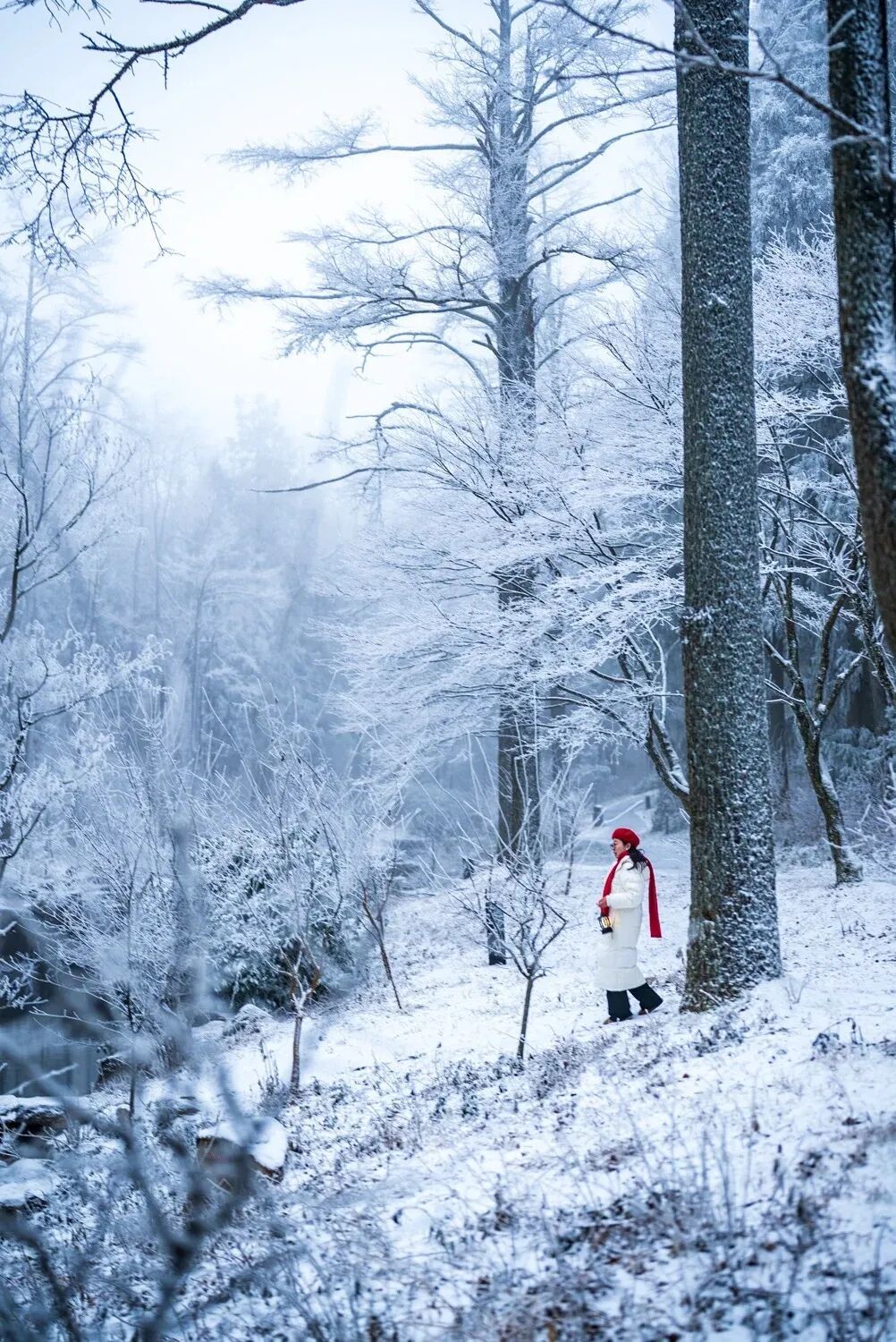 就在宁波！已经美成这样了！接下来的天气……