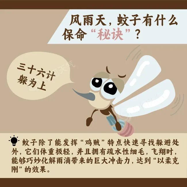 廊坊市雨具随身指南_廊坊天气_廊坊市出伏天气预报