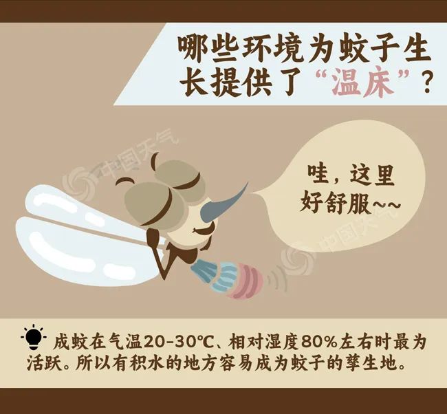 廊坊天气_廊坊市雨具随身指南_廊坊市出伏天气预报