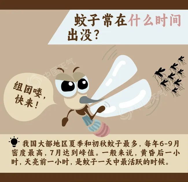 廊坊市出伏天气预报_廊坊市雨具随身指南_廊坊天气