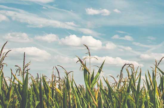 岳阳今日天气多云 2025年11月15日岳阳天气预报