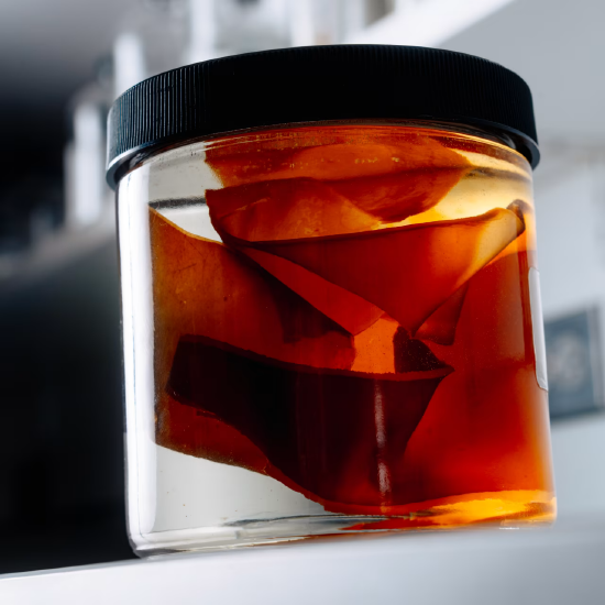 售价400美元面霜的成功秘诀：给海带“放音乐”