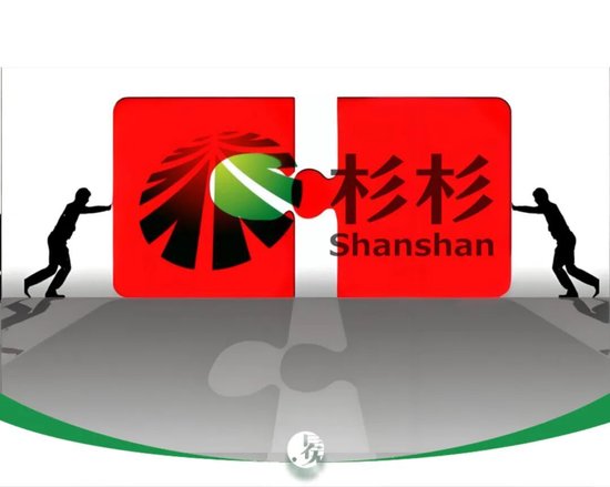 杉杉重整，海螺系真的是“如意郎君”吗？