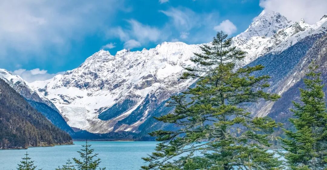 破解存量时代的内卷竞争,农夫山泉给出了正确答案