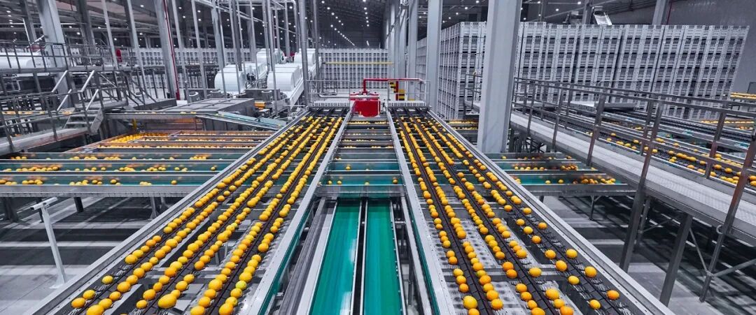 破解存量时代的内卷竞争,农夫山泉给出了正确答案